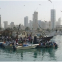 Development of Coastal Harbours “Nikas” Kuwait